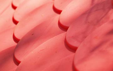 Mousehole plastic roof costs